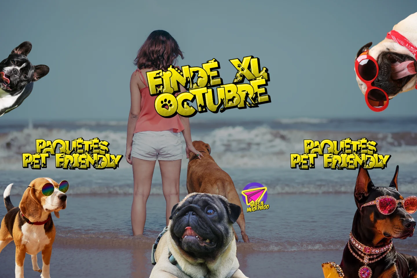 Paquetes turísticos Pet Friendly para viajar con tu perro